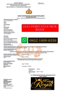 jasa-pembuatan-skck-mesir