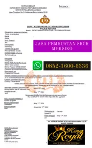 jasa-pembuatan-skck-meksiko