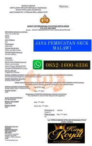 jasa-pembuatan-skck-malawi