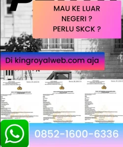 mau-bikin-skck-online