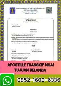 apostille-transkip-nilai-tujuan-belanda